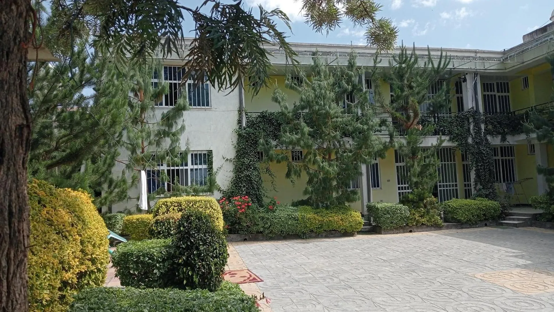 Avi Guest House Addis Ababa Ethiopia