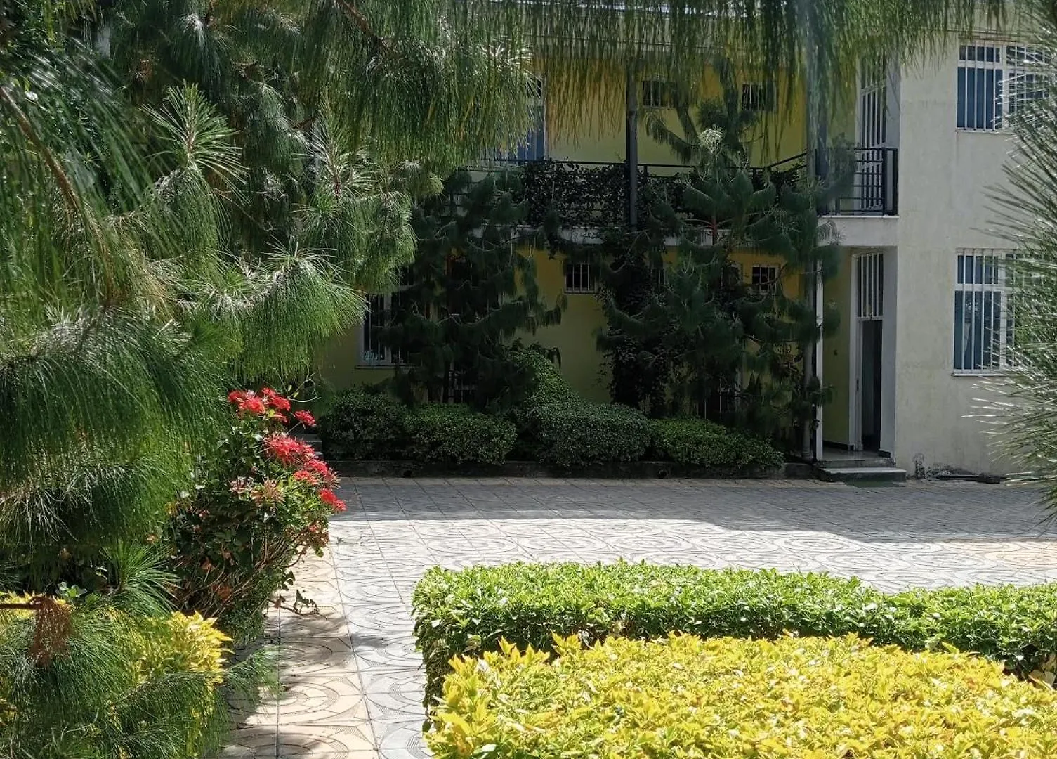 Avi Guest House Addis Ababa Ethiopia